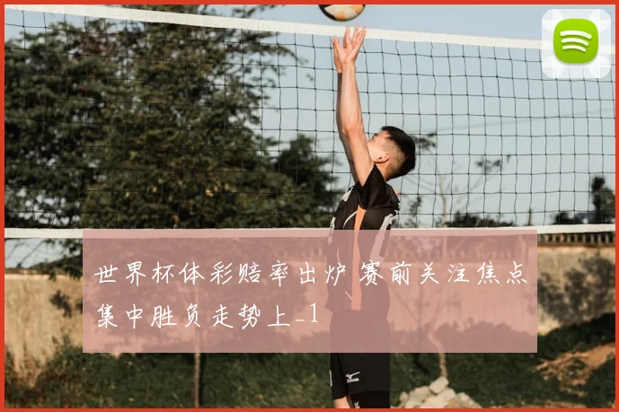 世界杯体彩赔率出炉 赛前关注焦点集中胜负走势上_1