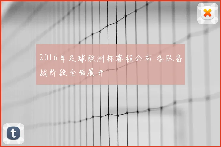 2016年足球欧洲杯赛程公布 各队备战阶段全面展开