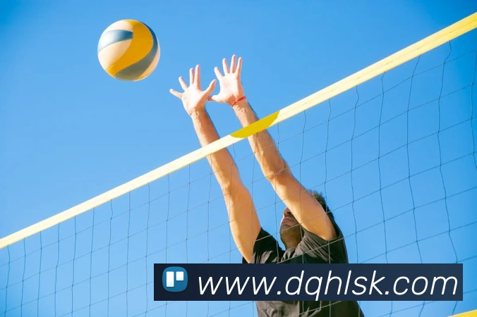 世界杯平台官网登录平台生态图